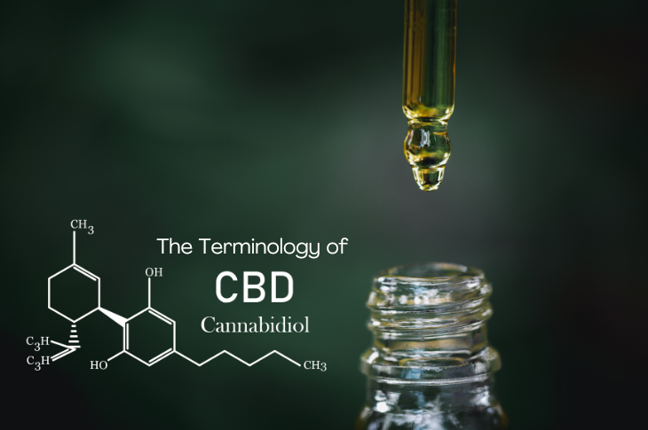 CBD Terminology: A Beginner's Guide